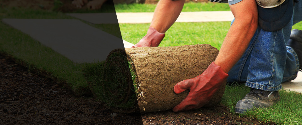 Bad Axe Landscapers
